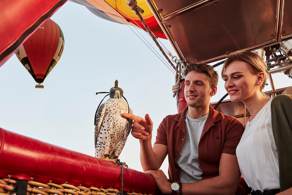 4. In-flight falconry - Hero Balloon Flights Dubai (3)